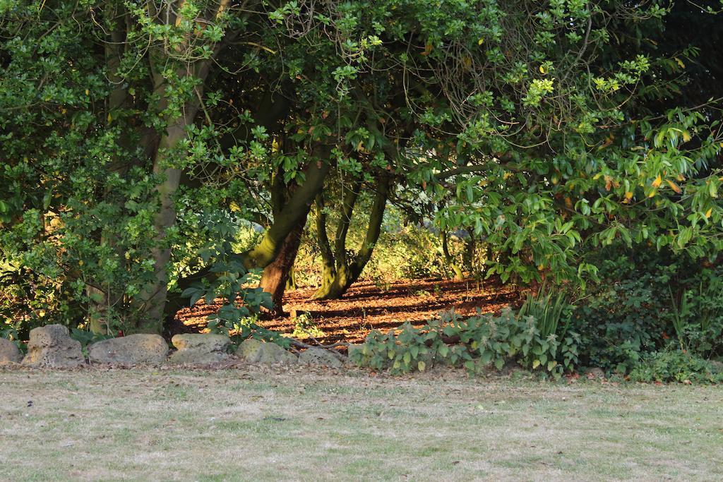 Bed and Breakfast Stamford Farmhouse Alnwick Pokoj fotografie